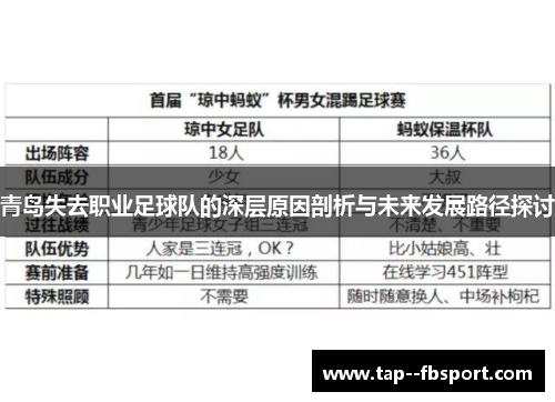 青岛失去职业足球队的深层原因剖析与未来发展路径探讨