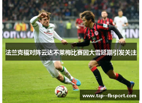 法兰克福对阵云达不莱梅比赛因大雪延期引发关注 法兰克福对阵云达不莱梅比赛因大雪延期引发关注