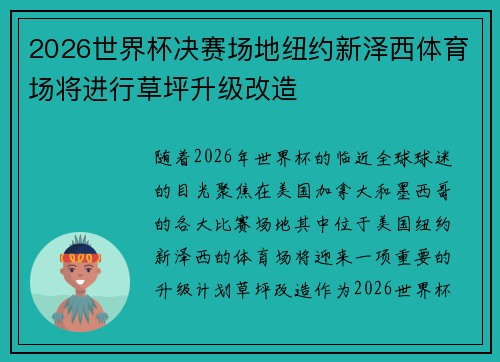 2026世界杯决赛场地纽约新泽西体育场将进行草坪升级改造